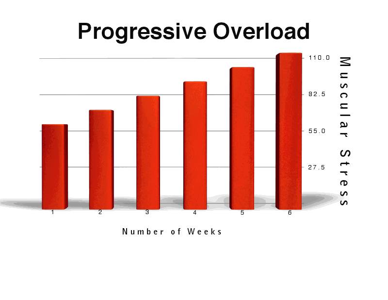 Progressive-overload-1.png