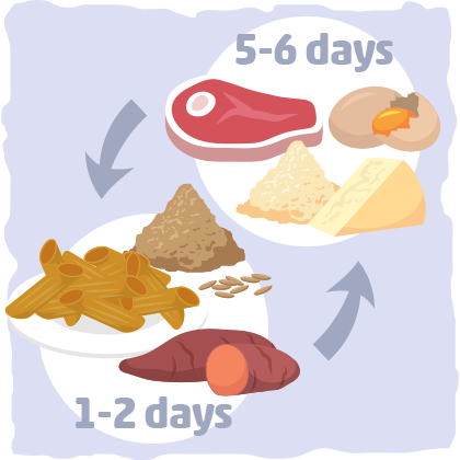 graphic_what-is-the-cyclical-ketogenic-diet-exactly-1.png
