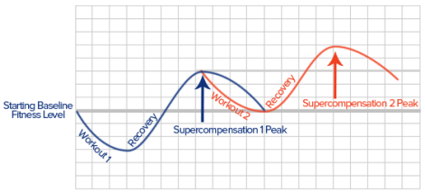 supercompensationcycle.png