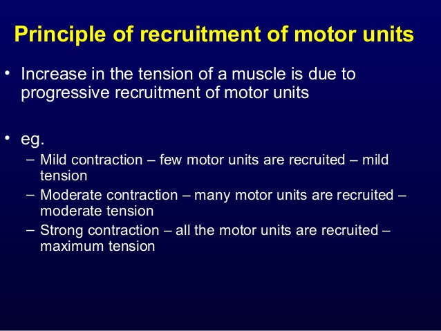y3-s1-locomotion-muscle-dysfunction-slideshare-8-638.jpg